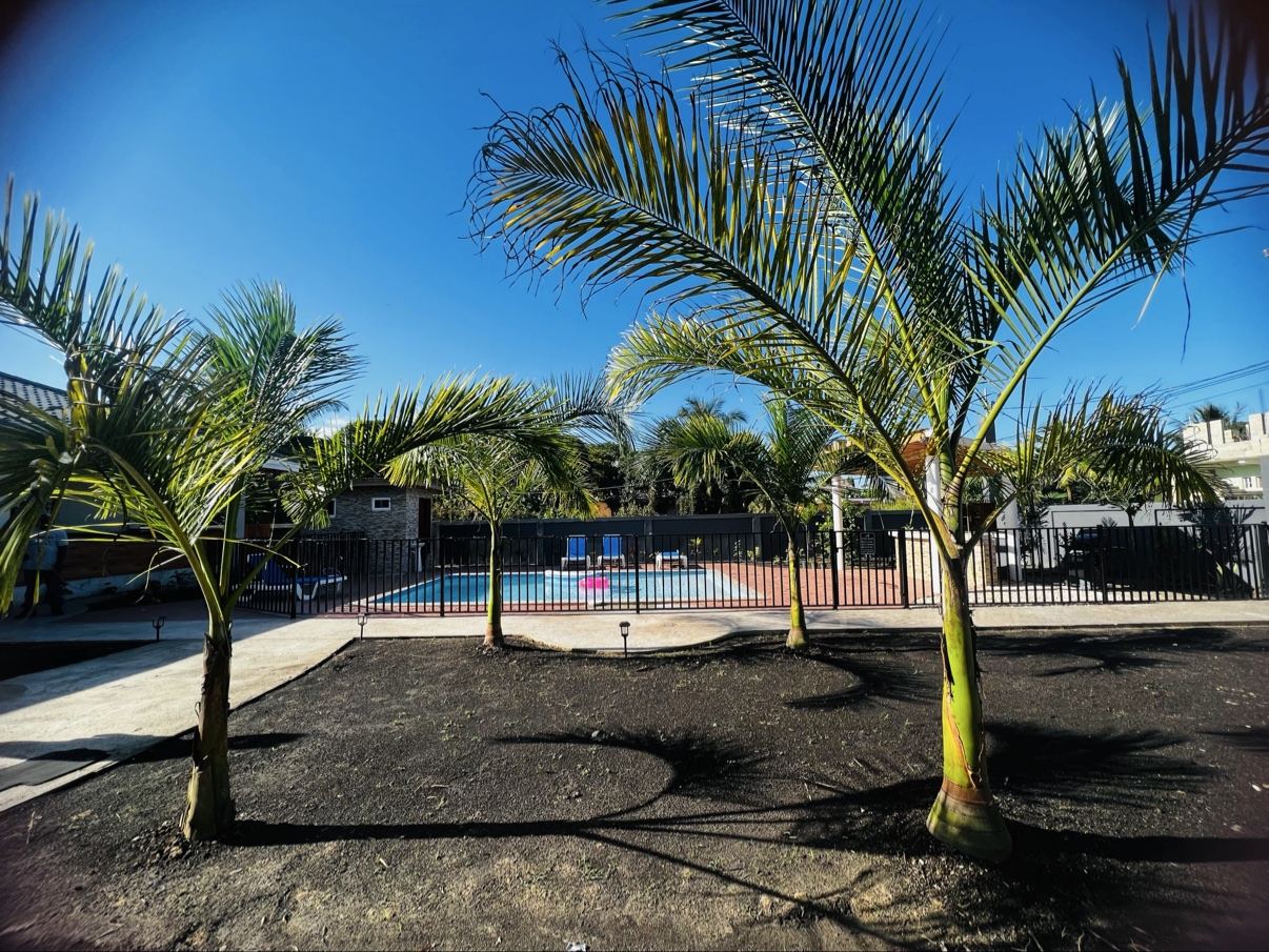 Young palm trees shading the fenced private pool at Paradise Palms