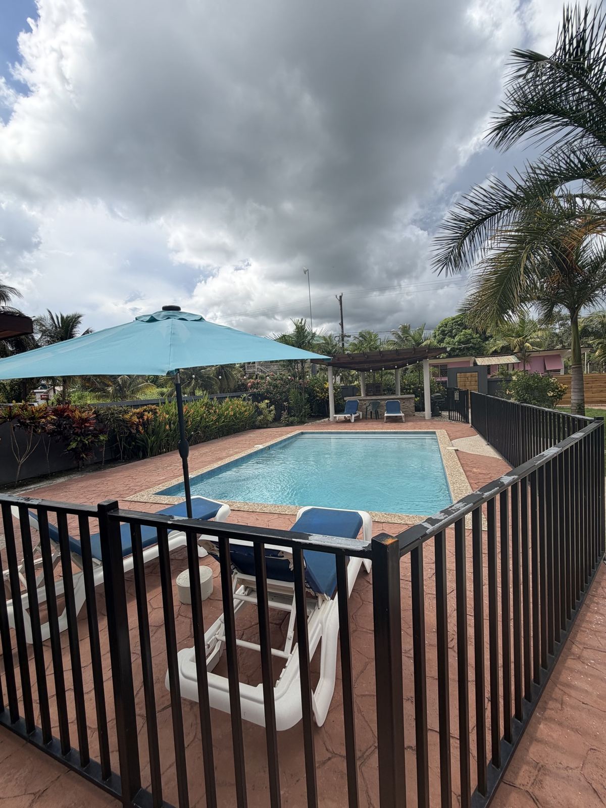 Paradise Palms pool with an umbrella and loungers